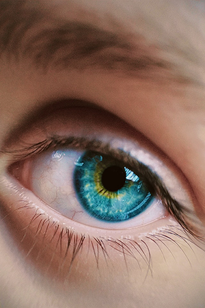 Kontaktlinsens historie